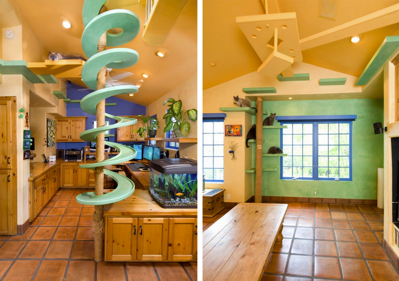 Illustration for article titled A $35,000 Renovation Turned This Suburban Home Into a Cat Palace